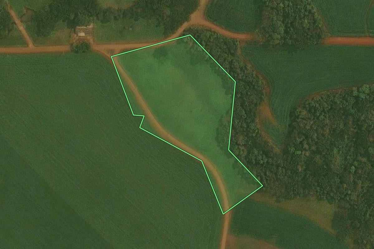 Imagem de satélite do imóvel rural em Quinze de Novembro (RS), com o contorno declarado no CAR desenhado por cima.