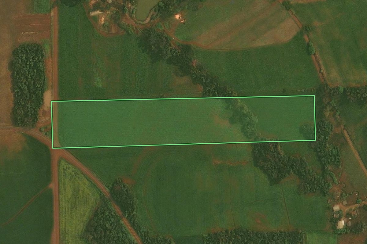 Imagem de satélite do imóvel rural em Quinze de Novembro (RS), com o contorno declarado no CAR desenhado por cima.