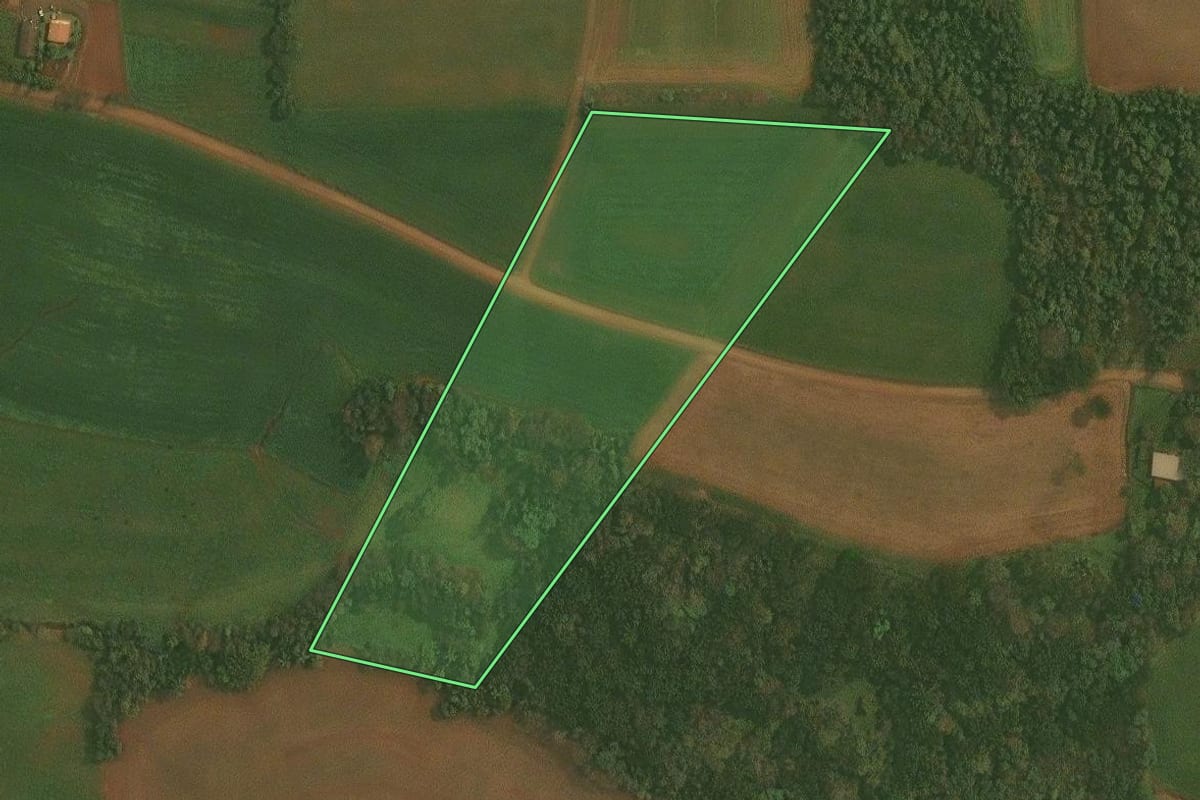 Imagem de satélite do imóvel rural em Quinze de Novembro (RS), com o contorno declarado no CAR desenhado por cima.