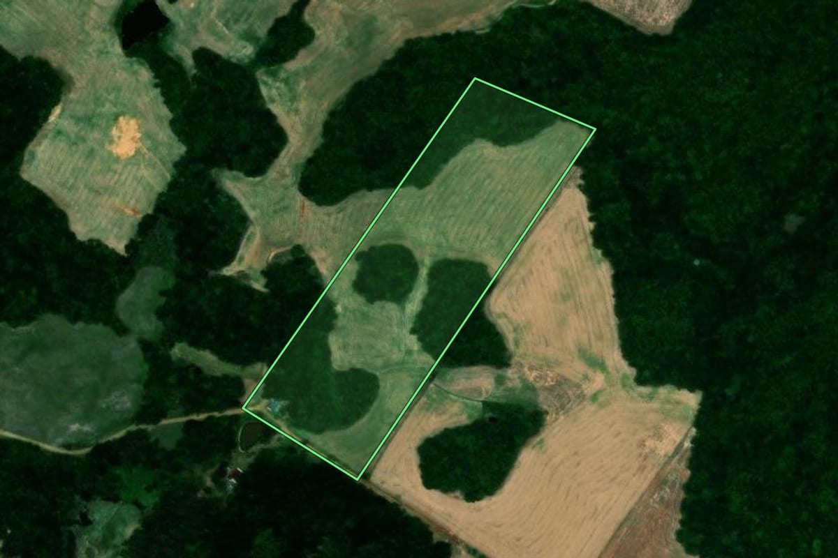 Imagem de satélite do imóvel rural em Quinze de Novembro (RS), com o contorno declarado no CAR desenhado por cima.