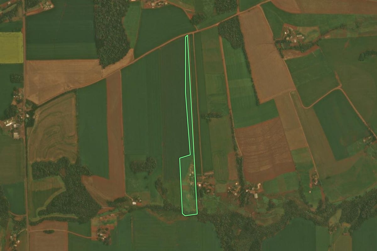 Imagem de satélite do imóvel rural em Quinze de Novembro (RS), com o contorno declarado no CAR desenhado por cima.