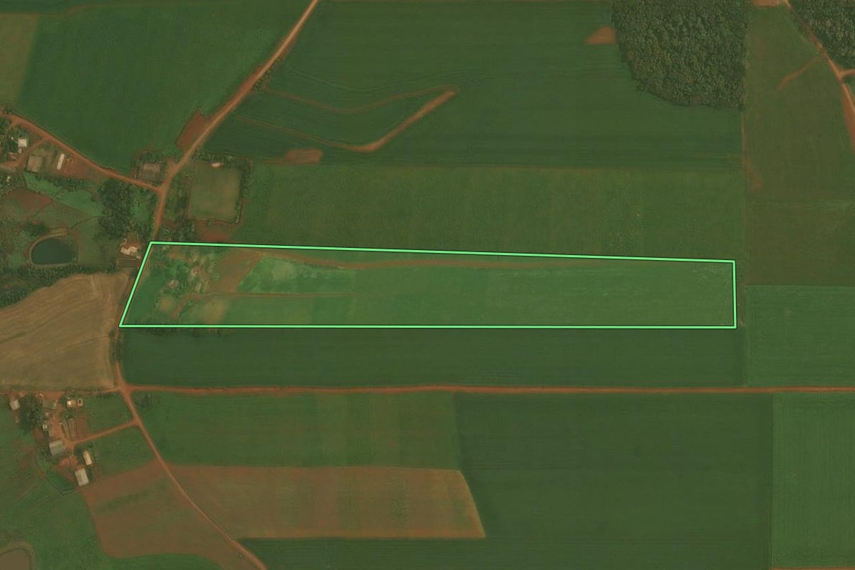 Imagem de satélite do imóvel rural em Quinze de Novembro (RS), com o contorno declarado no CAR desenhado por cima.
