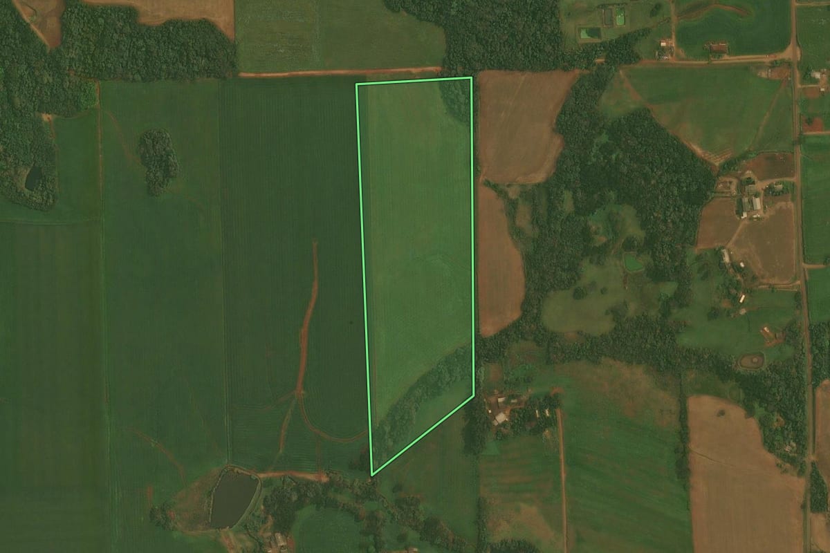 Imagem de satélite do imóvel rural em Quinze de Novembro (RS), com o contorno declarado no CAR desenhado por cima.