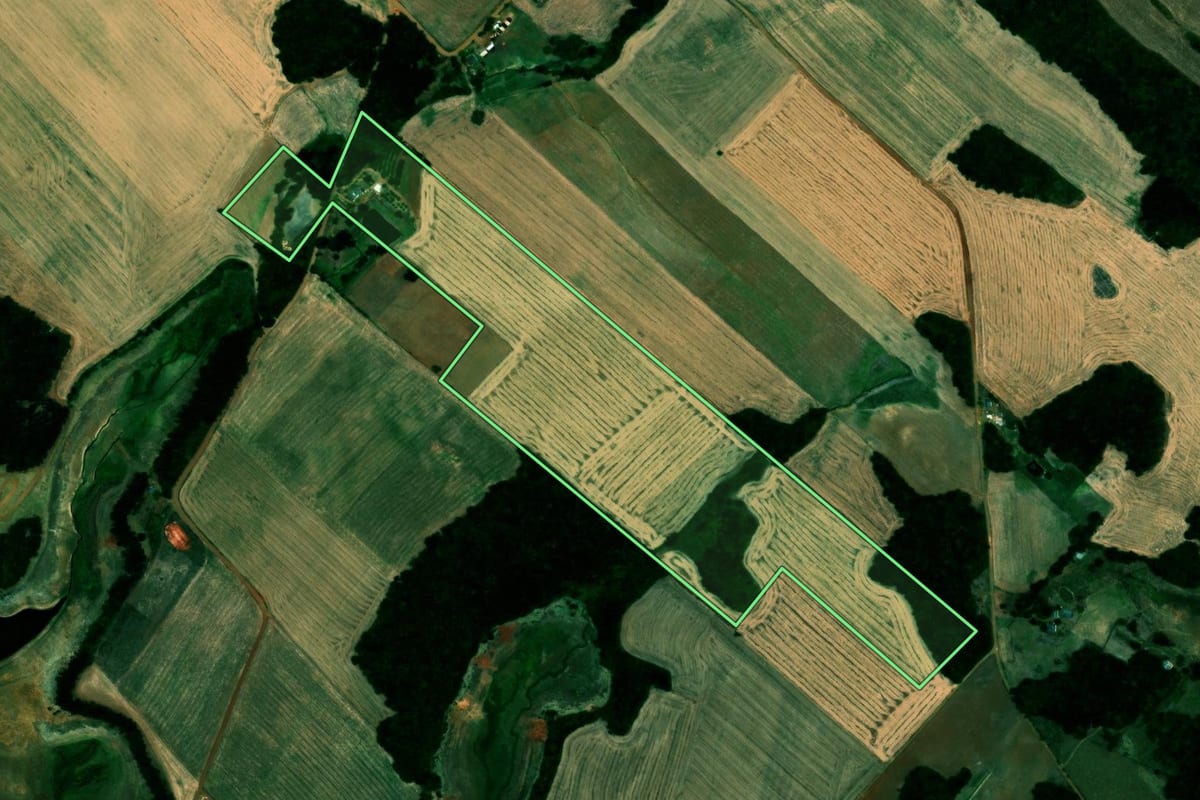 Imagem de satélite do imóvel rural em Quinze de Novembro (RS), com o contorno declarado no CAR desenhado por cima.