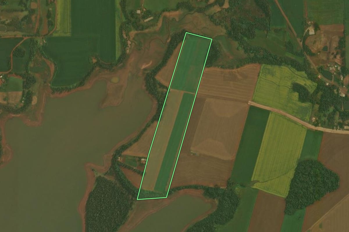 Imagem de satélite do imóvel rural em Quinze de Novembro (RS), com o contorno declarado no CAR desenhado por cima.