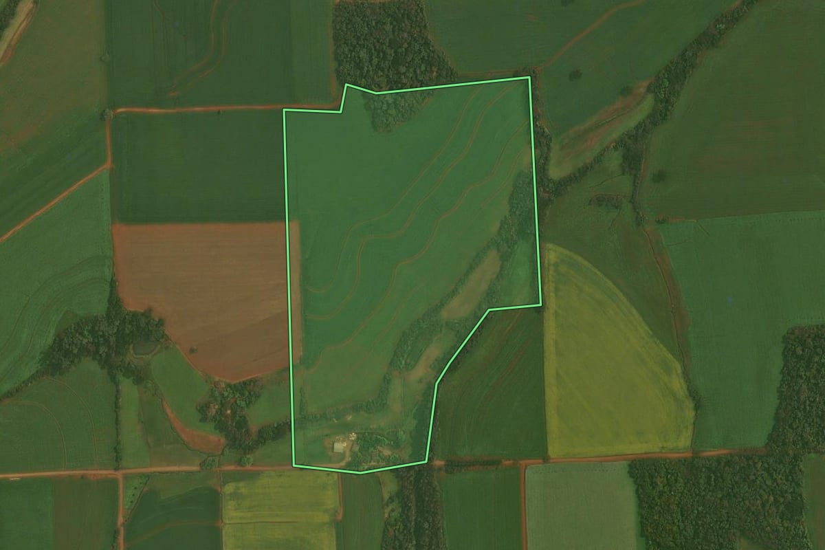 Imagem de satélite do imóvel rural em Quinze de Novembro (RS), com o contorno declarado no CAR desenhado por cima.