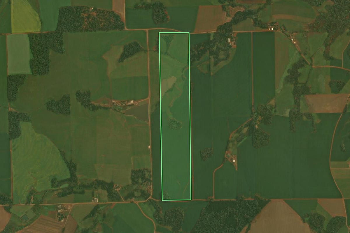 Imagem de satélite do imóvel rural em Quinze de Novembro (RS), com o contorno declarado no CAR desenhado por cima.