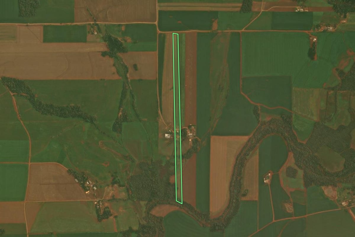 Imagem de satélite do imóvel rural em Quinze de Novembro (RS), com o contorno declarado no CAR desenhado por cima.