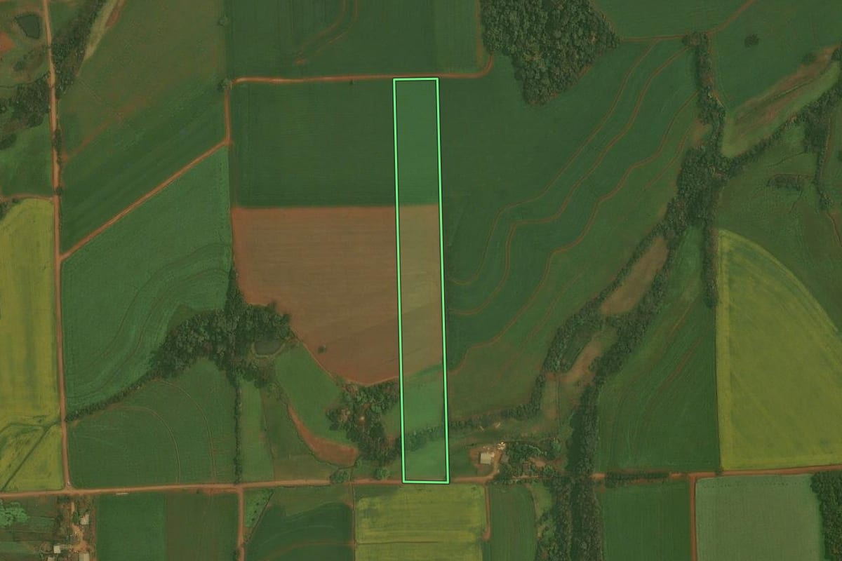 Imagem de satélite do imóvel rural em Quinze de Novembro (RS), com o contorno declarado no CAR desenhado por cima.