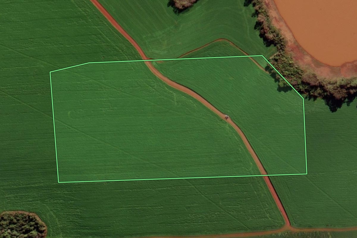 Imagem de satélite do imóvel rural em Quinze de Novembro (RS), com o contorno declarado no CAR desenhado por cima.