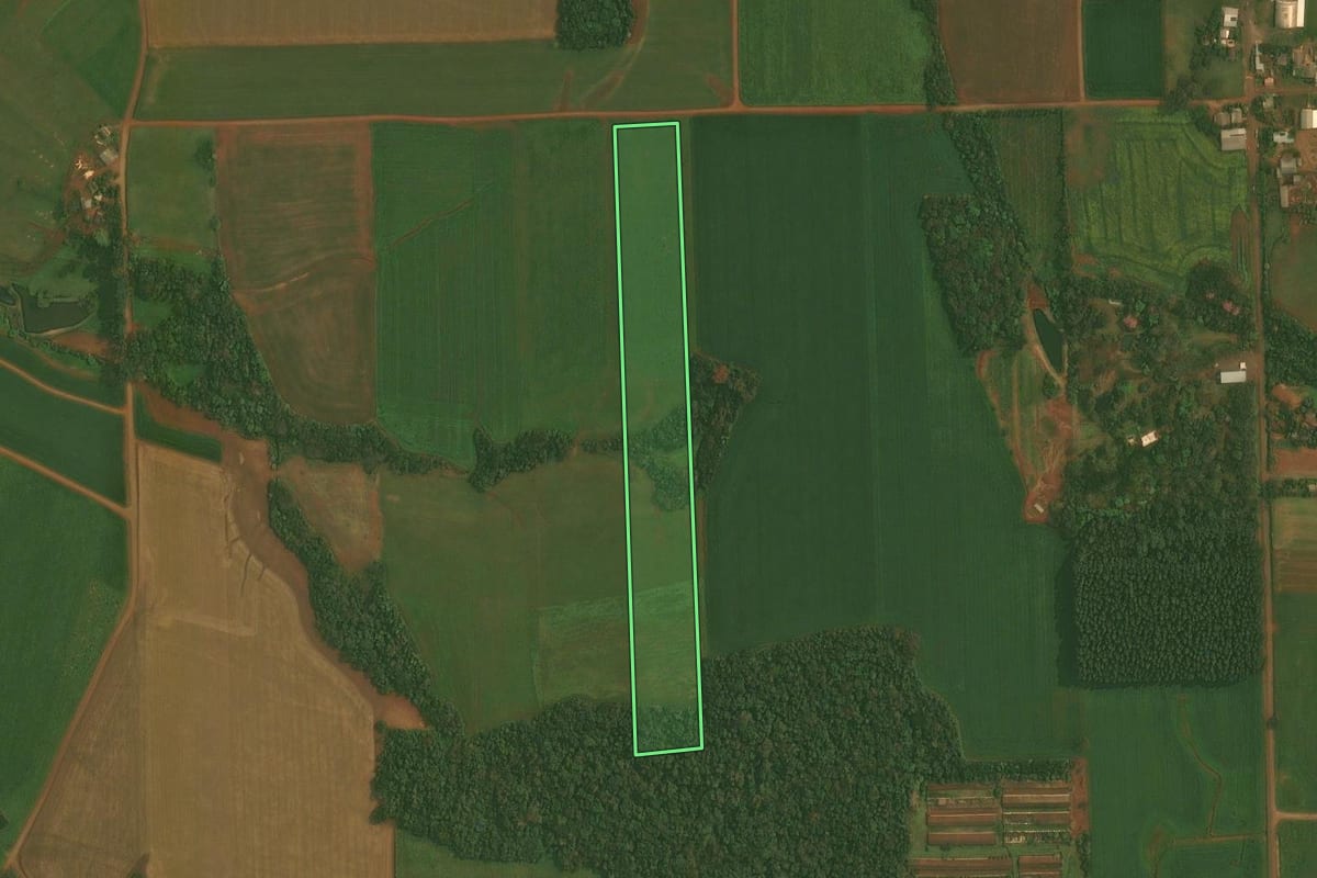 Imagem de satélite do imóvel rural em Quinze de Novembro (RS), com o contorno declarado no CAR desenhado por cima.