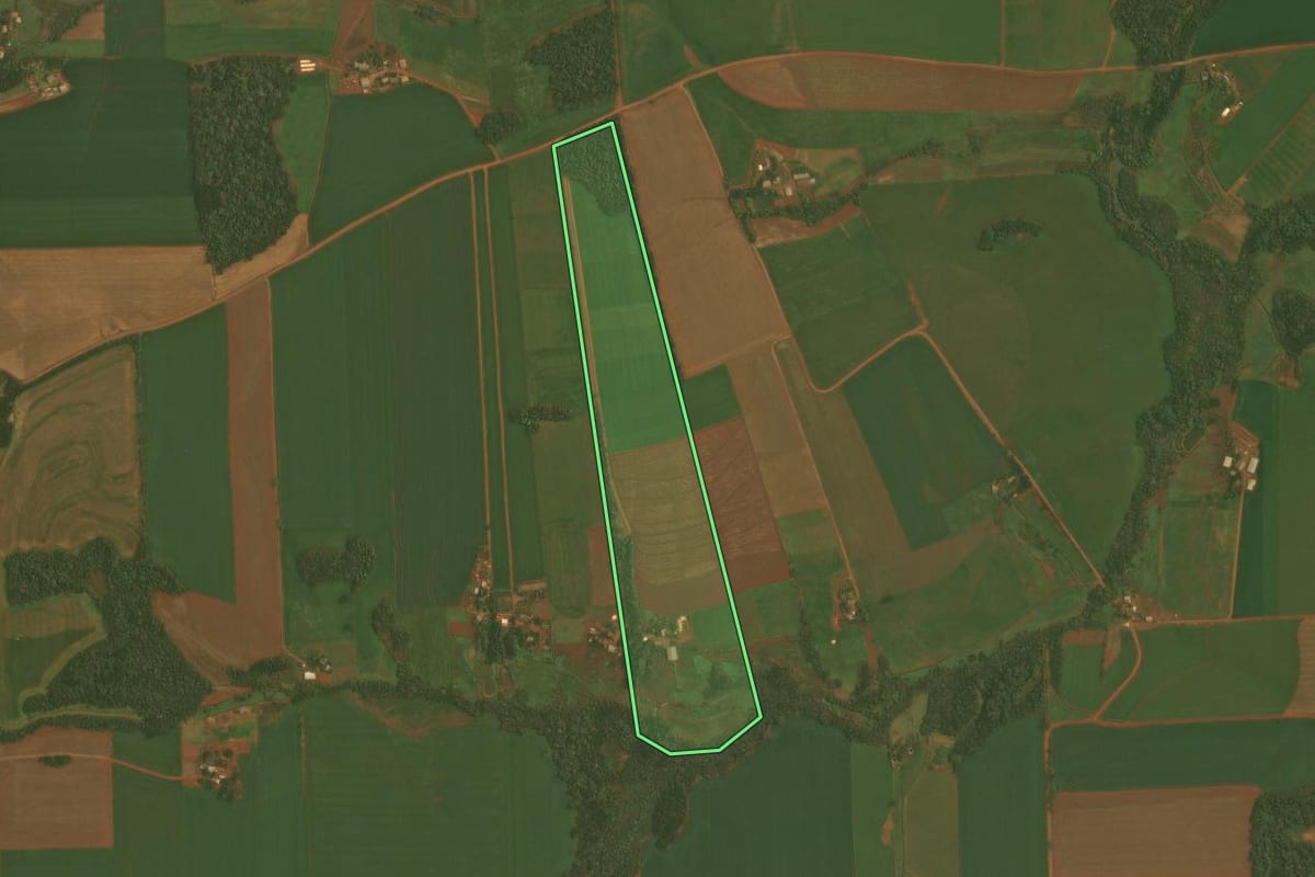 Imagem de satélite do imóvel rural em Quinze de Novembro (RS), com o contorno declarado no CAR desenhado por cima.