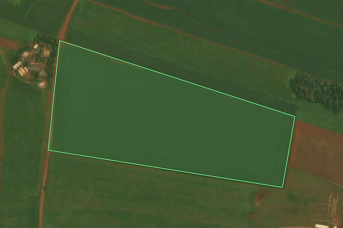 Imagem de satélite do imóvel rural em Quinze de Novembro (RS), com o contorno declarado no CAR desenhado por cima.