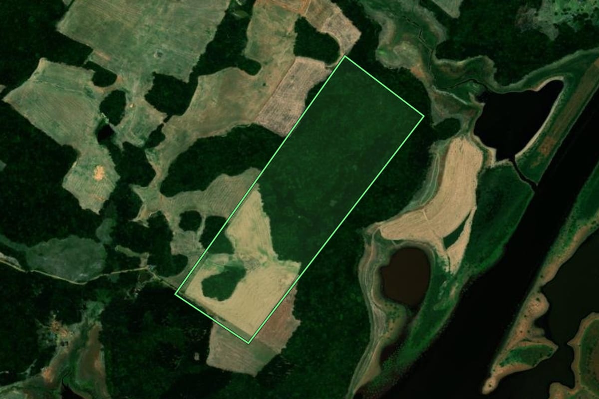 Imagem de satélite do imóvel rural em Quinze de Novembro (RS), com o contorno declarado no CAR desenhado por cima.