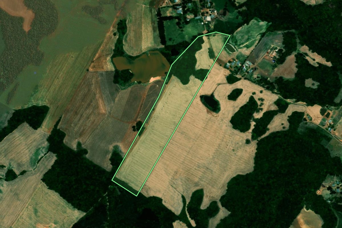 Imagem de satélite do imóvel rural em Quinze de Novembro (RS), com o contorno declarado no CAR desenhado por cima.