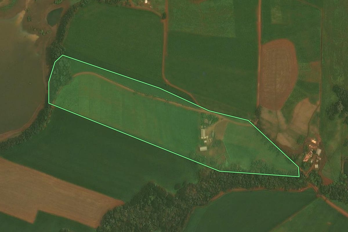 Imagem de satélite do imóvel rural em Quinze de Novembro (RS), com o contorno declarado no CAR desenhado por cima.