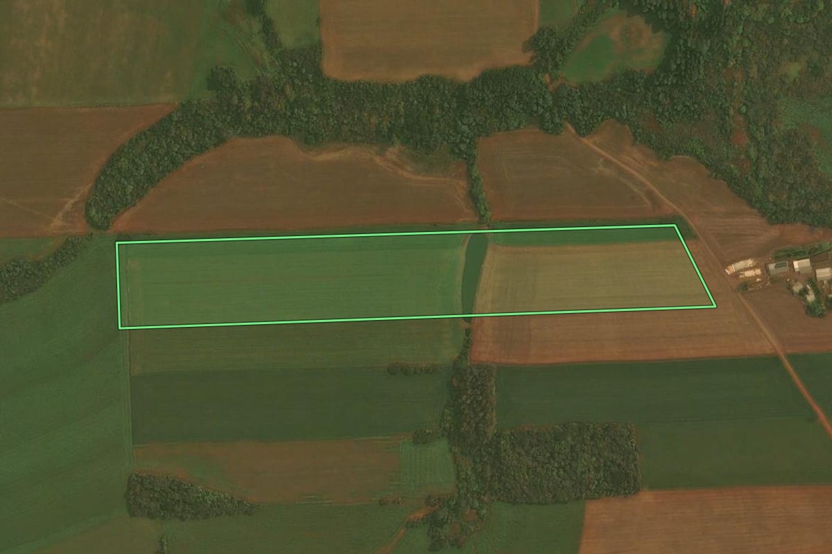 Imagem de satélite do imóvel rural em Quinze de Novembro (RS), com o contorno declarado no CAR desenhado por cima.