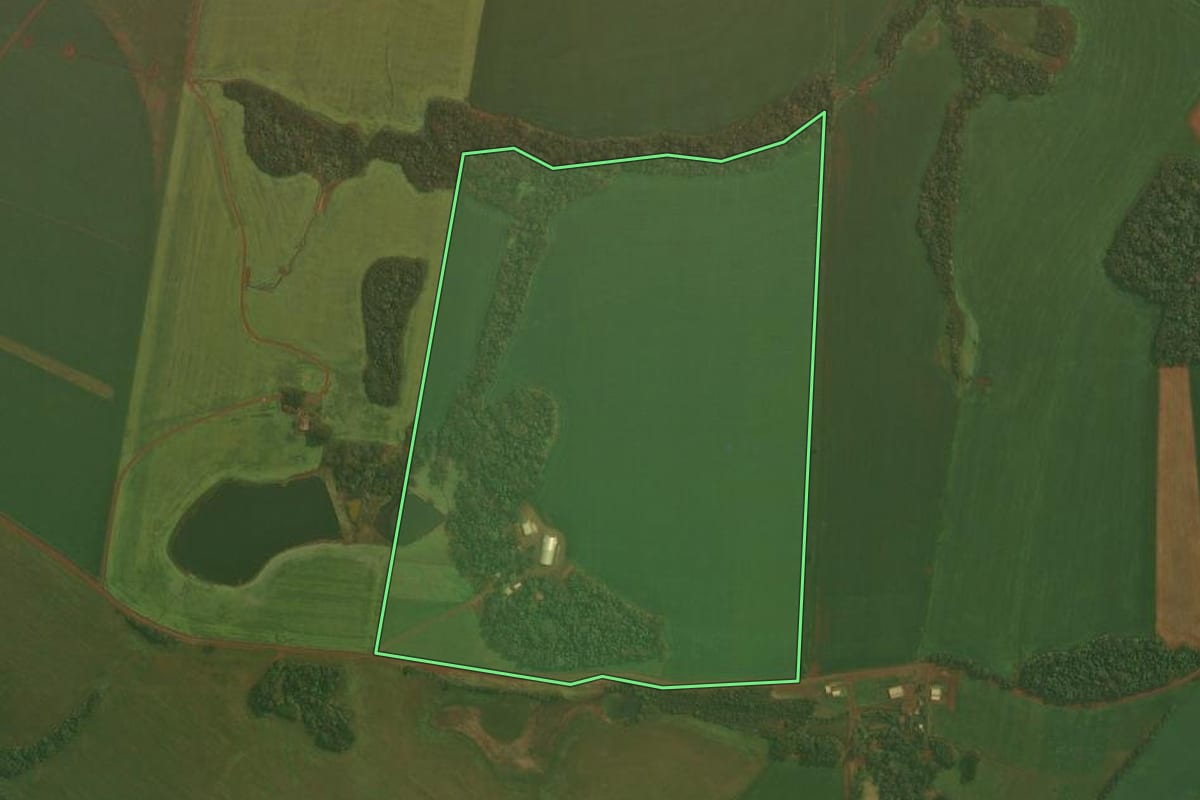 Imagem de satélite do imóvel rural em Quinze de Novembro (RS), com o contorno declarado no CAR desenhado por cima.