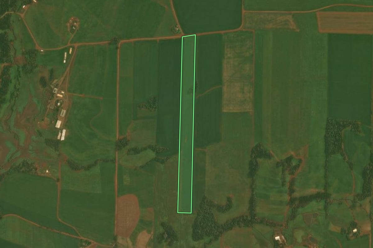 Imagem de satélite do imóvel rural em Quinze de Novembro (RS), com o contorno declarado no CAR desenhado por cima.