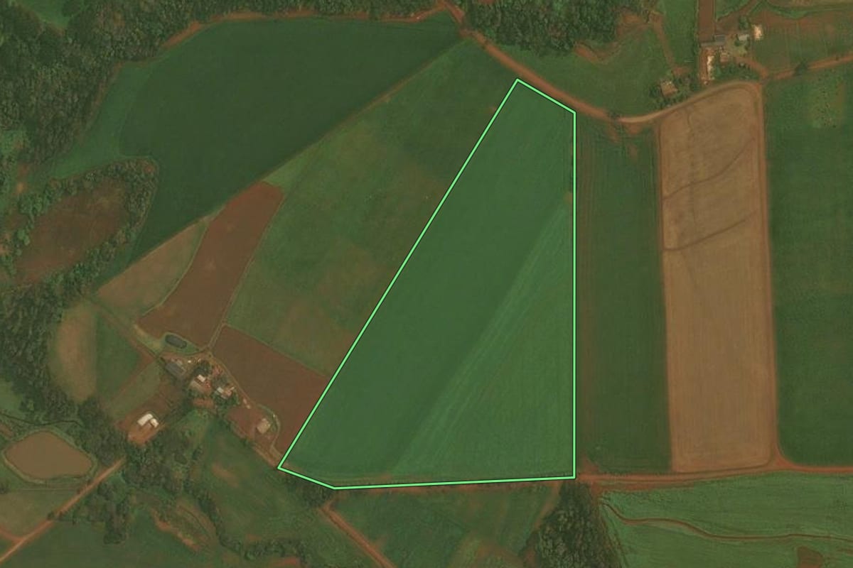 Imagem de satélite do imóvel rural em Quinze de Novembro (RS), com o contorno declarado no CAR desenhado por cima.