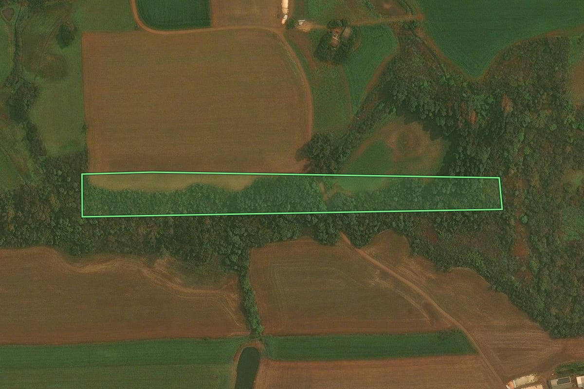 Imagem de satélite do imóvel rural em Quinze de Novembro (RS), com o contorno declarado no CAR desenhado por cima.