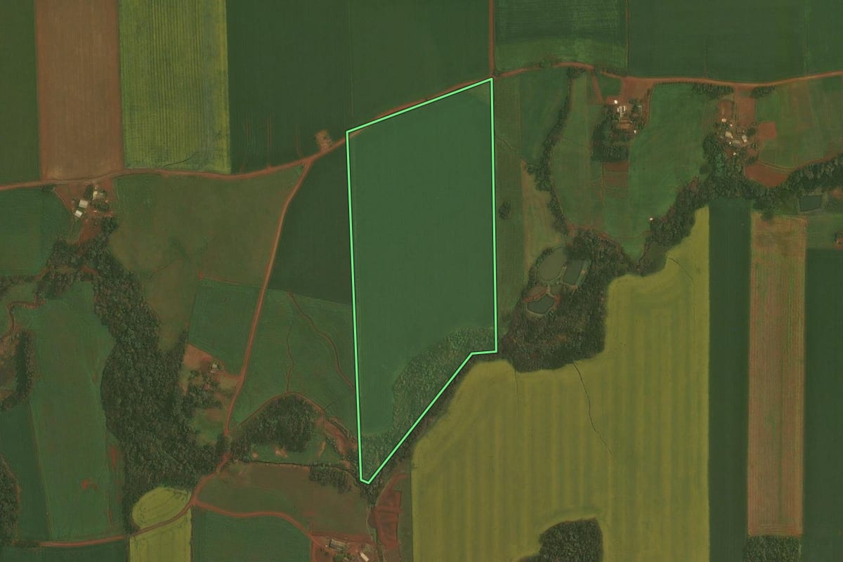 Imagem de satélite do imóvel rural em Quinze de Novembro (RS), com o contorno declarado no CAR desenhado por cima.