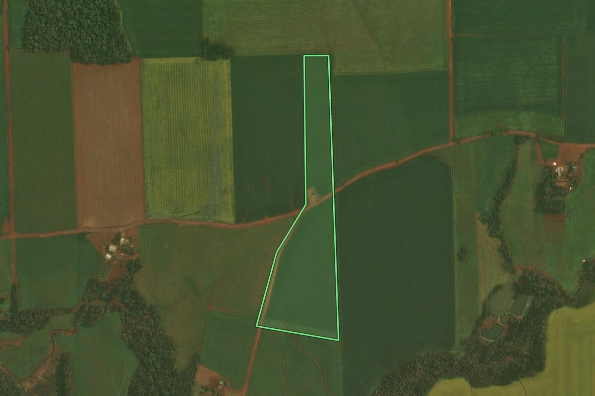 Imagem de satélite do imóvel rural em Quinze de Novembro (RS), com o contorno declarado no CAR desenhado por cima.