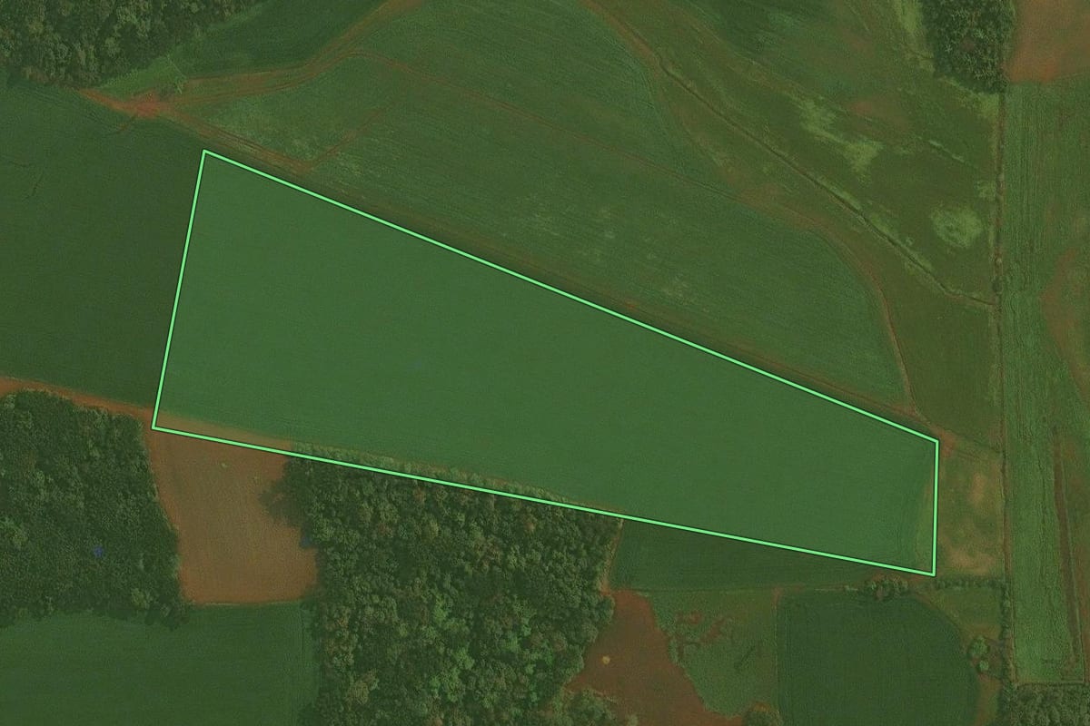 Imagem de satélite do imóvel rural em Quinze de Novembro (RS), com o contorno declarado no CAR desenhado por cima.