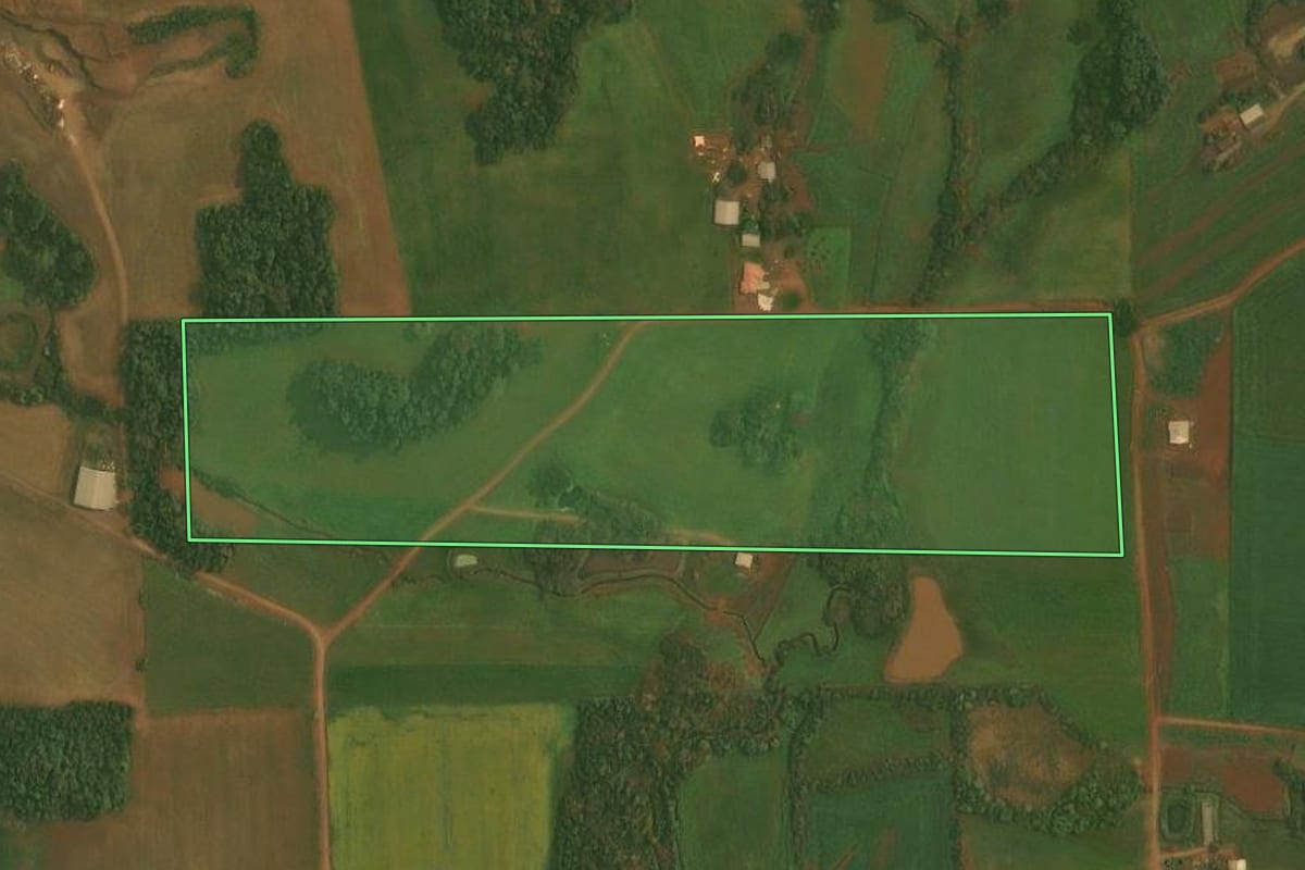 Imagem de satélite do imóvel rural em Quinze de Novembro (RS), com o contorno declarado no CAR desenhado por cima.