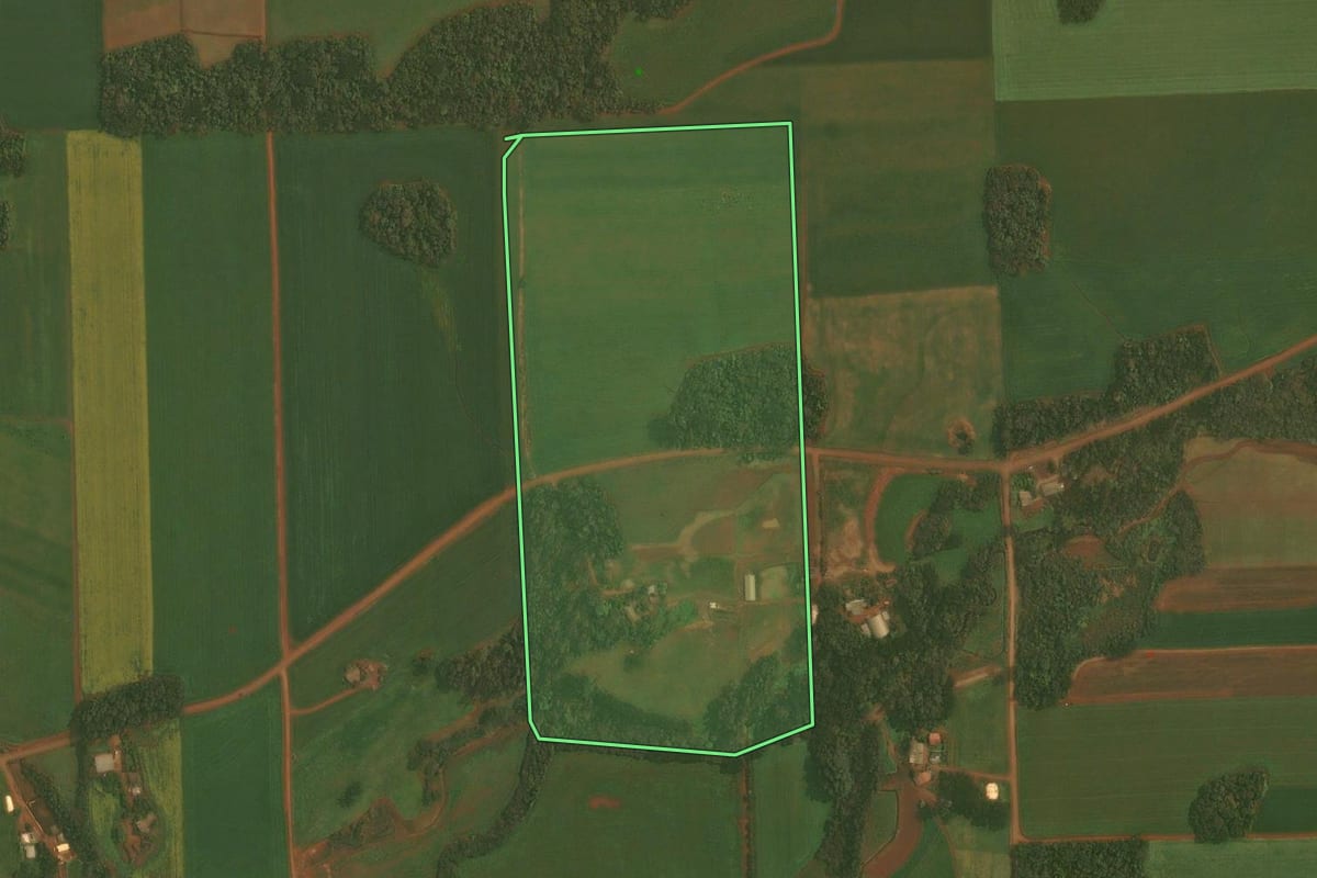 Imagem de satélite do imóvel rural em Quinze de Novembro (RS), com o contorno declarado no CAR desenhado por cima.