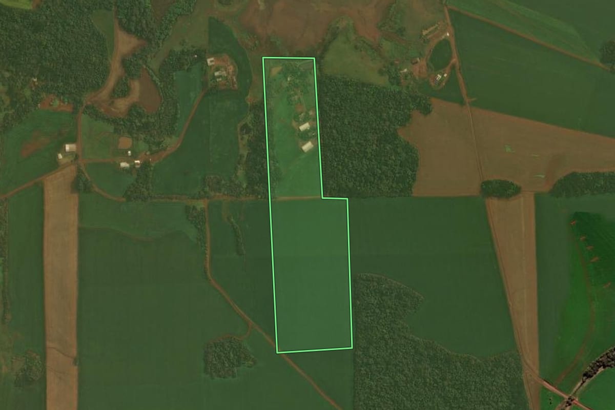 Imagem de satélite do imóvel rural em Quinze de Novembro (RS), com o contorno declarado no CAR desenhado por cima.