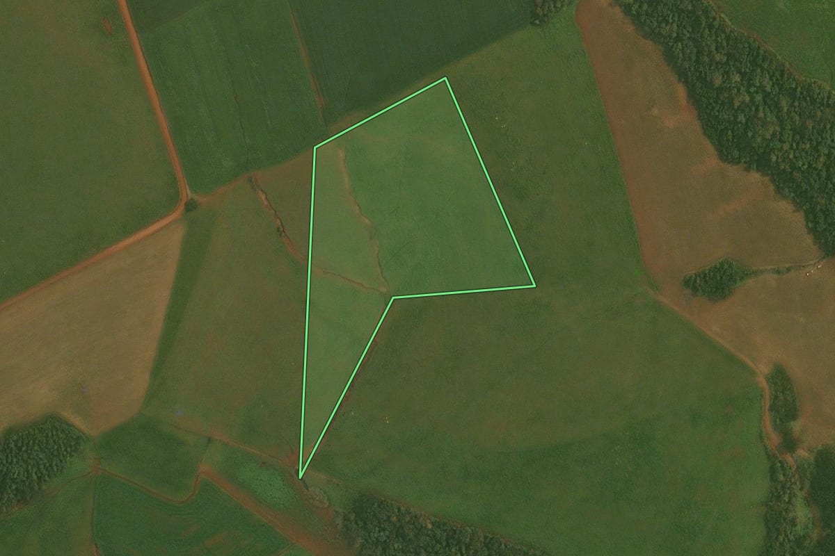 Imagem de satélite do imóvel rural em Quinze de Novembro (RS), com o contorno declarado no CAR desenhado por cima.