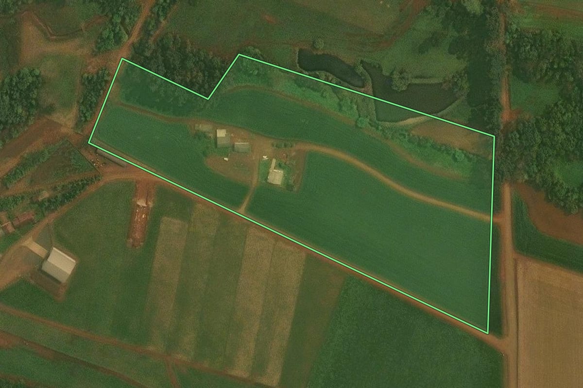 Imagem de satélite do imóvel rural em Quinze de Novembro (RS), com o contorno declarado no CAR desenhado por cima.
