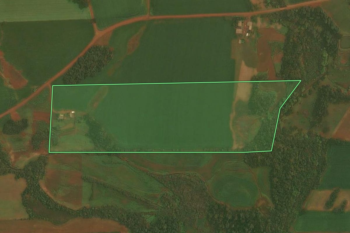 Imagem de satélite do imóvel rural em Quinze de Novembro (RS), com o contorno declarado no CAR desenhado por cima.