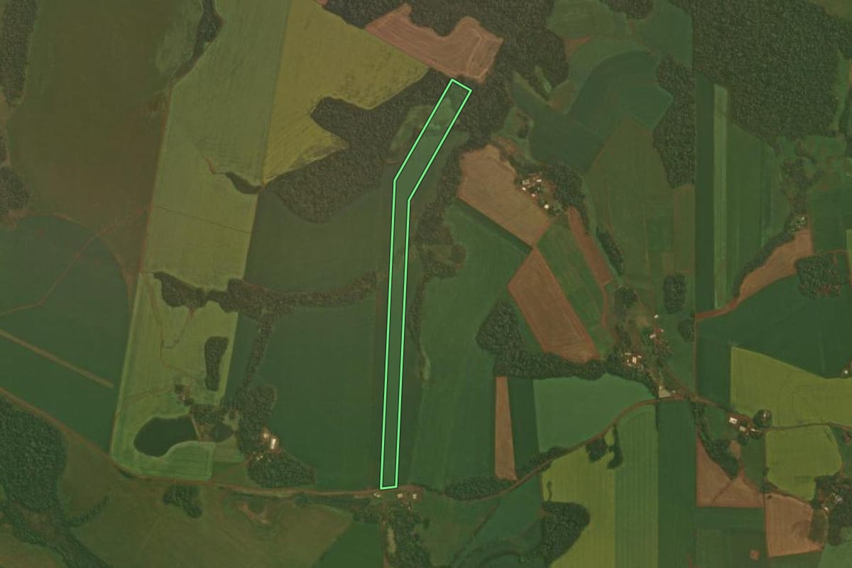 Imagem de satélite do imóvel rural em Quinze de Novembro (RS), com o contorno declarado no CAR desenhado por cima.