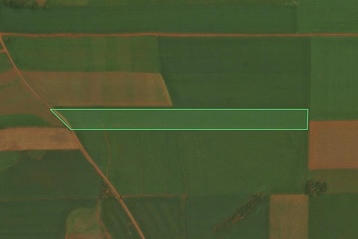 Imagem de satélite do imóvel rural em Quinze de Novembro (RS), com o contorno declarado no CAR desenhado por cima.