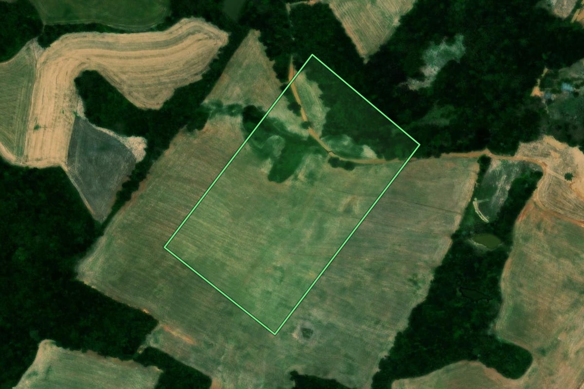 Imagem de satélite do imóvel rural em Quinze de Novembro (RS), com o contorno declarado no CAR desenhado por cima.