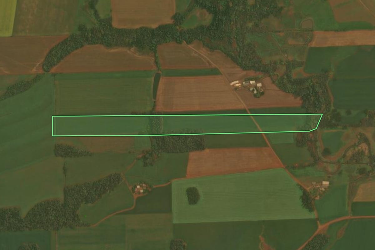 Imagem de satélite do imóvel rural em Quinze de Novembro (RS), com o contorno declarado no CAR desenhado por cima.