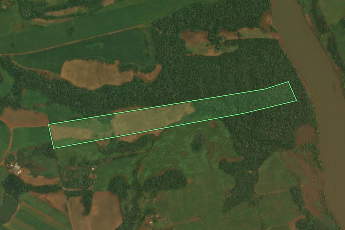 Imagem de satélite do imóvel rural em Quinze de Novembro (RS), com o contorno declarado no CAR desenhado por cima.