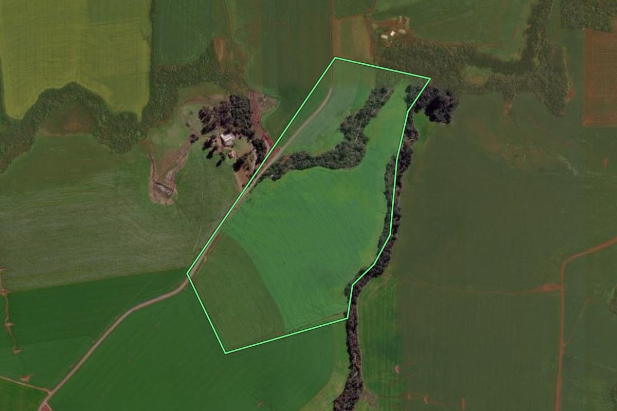 Imagem de satélite do imóvel rural em Quinze de Novembro (RS), com o contorno declarado no CAR desenhado por cima.