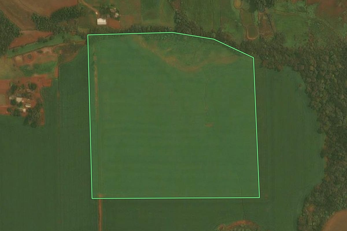 Imagem de satélite do imóvel rural em Quinze de Novembro (RS), com o contorno declarado no CAR desenhado por cima.
