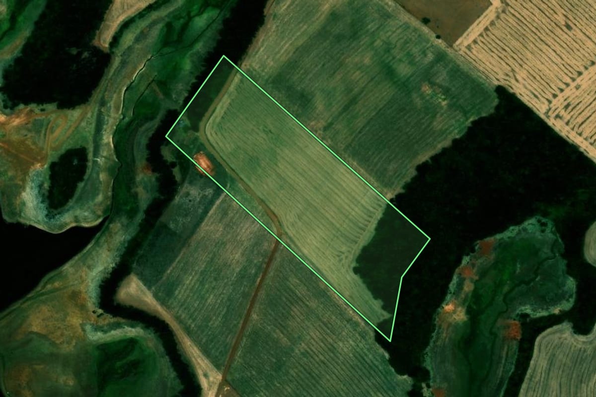 Imagem de satélite do imóvel rural em Quinze de Novembro (RS), com o contorno declarado no CAR desenhado por cima.