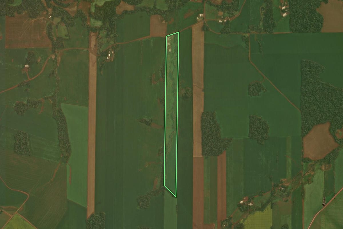 Imagem de satélite do imóvel rural em Quinze de Novembro (RS), com o contorno declarado no CAR desenhado por cima.