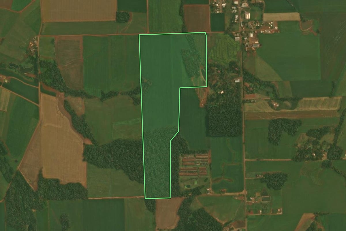 Imagem de satélite do imóvel rural em Quinze de Novembro (RS), com o contorno declarado no CAR desenhado por cima.