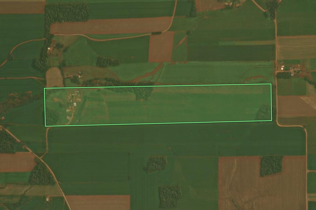 Imagem de satélite do imóvel rural em Quinze de Novembro (RS), com o contorno declarado no CAR desenhado por cima.