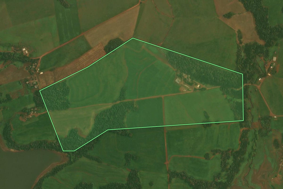 Imagem de satélite do imóvel rural em Quinze de Novembro (RS), com o contorno declarado no CAR desenhado por cima.