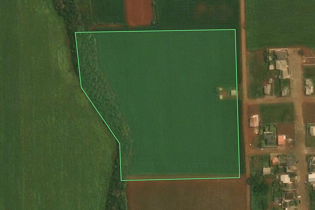 Imagem de satélite do imóvel rural em Quinze de Novembro (RS), com o contorno declarado no CAR desenhado por cima.