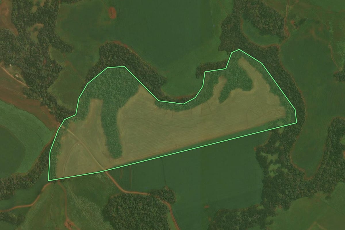 Imagem de satélite do imóvel rural em Quinze de Novembro (RS), com o contorno declarado no CAR desenhado por cima.