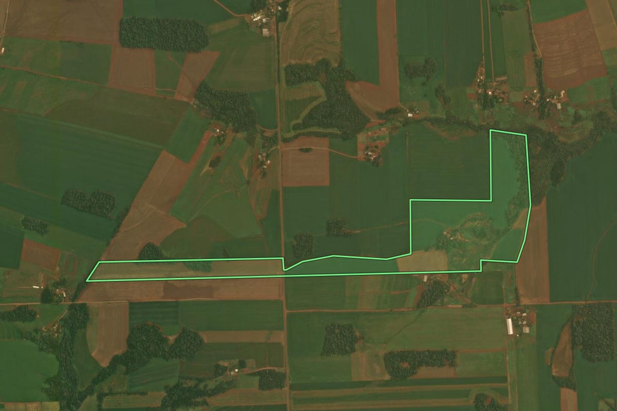 Imagem de satélite do imóvel rural em Quinze de Novembro (RS), com o contorno declarado no CAR desenhado por cima.