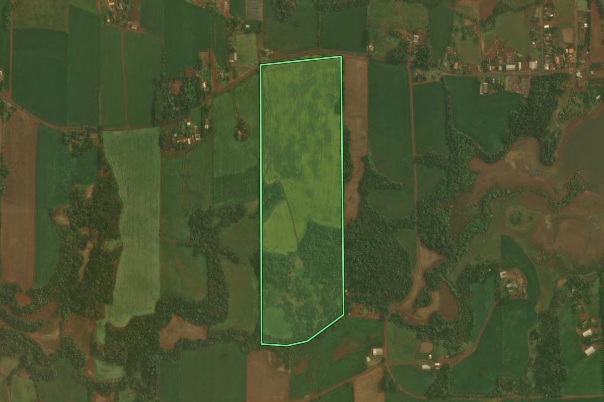 Imagem de satélite do imóvel rural em Quinze de Novembro (RS), com o contorno declarado no CAR desenhado por cima.